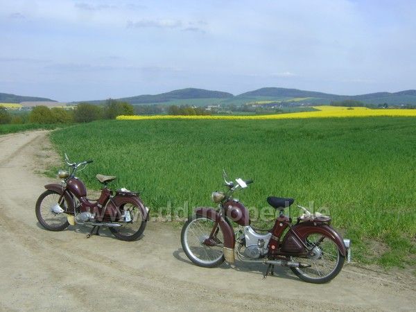 Angefügtes Bild
