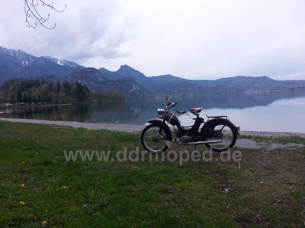 Angef�gtes Bild
