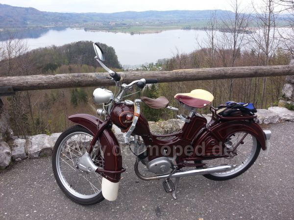 Angef�gtes Bild