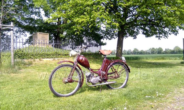 Angef�gtes Bild