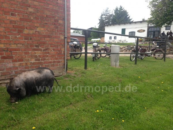 Angef�gtes Bild