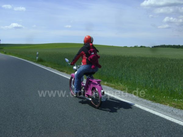 Angef�gtes Bild