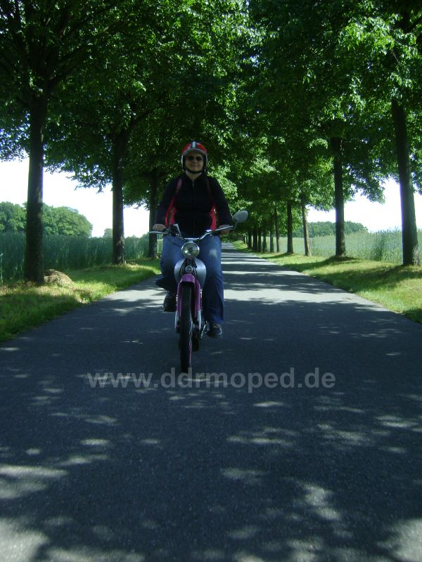 Angefügtes Bild