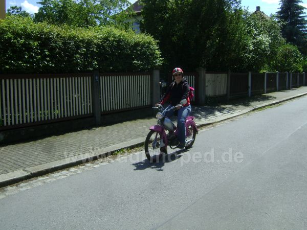 Angef�gtes Bild