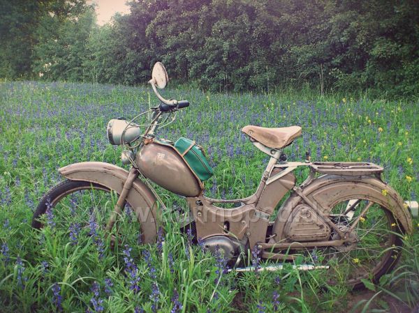 Angef�gtes Bild