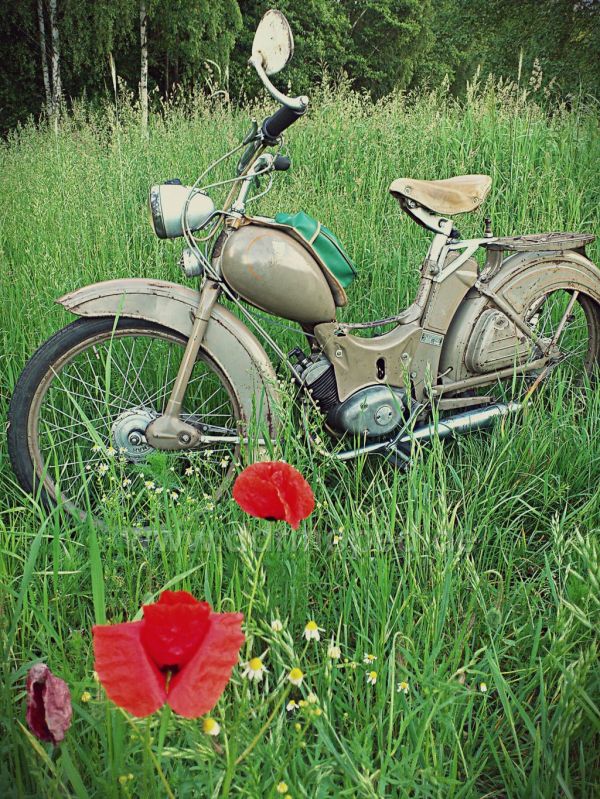 Angef�gtes Bild
