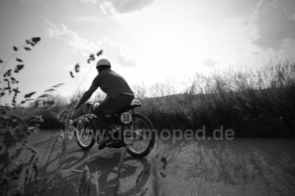Angefgtes Bild