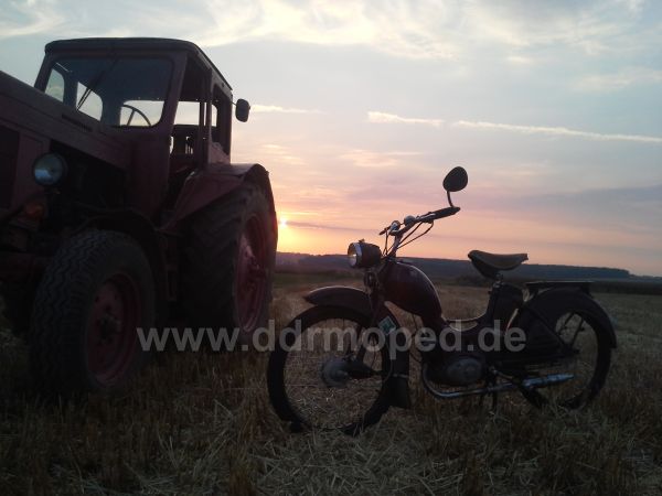 Angef�gtes Bild