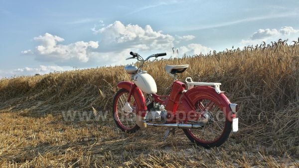 Angef�gtes Bild