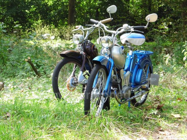 Angef�gtes Bild