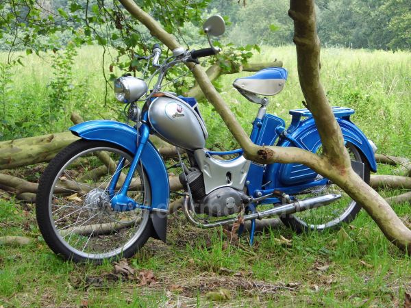 Angef�gtes Bild