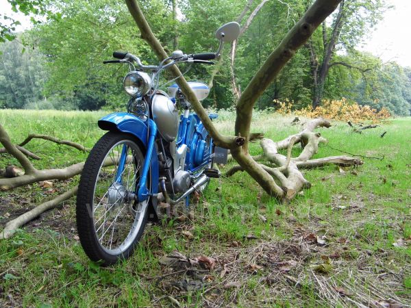 Angef�gtes Bild