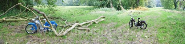Angef�gtes Bild