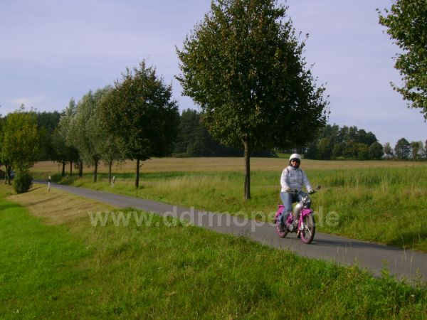 Angefügtes Bild