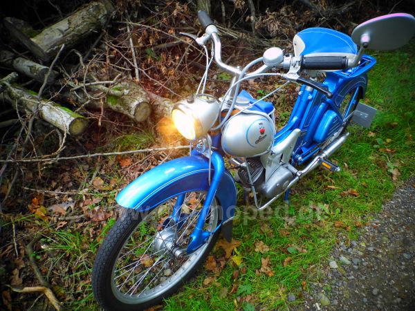 Angef�gtes Bild
