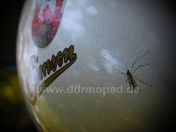 Angef�gtes Bild