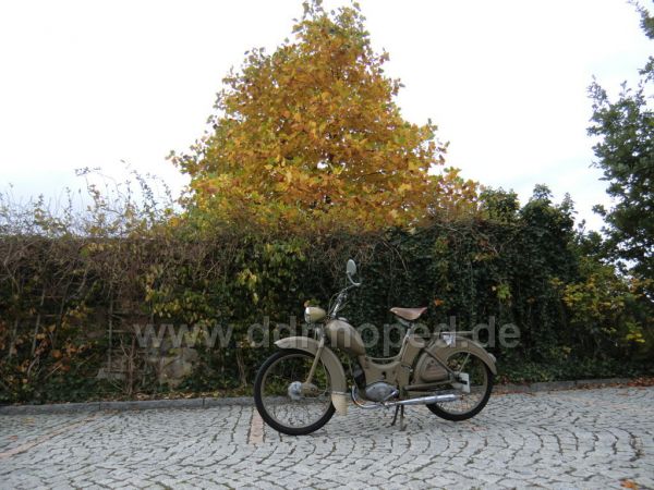 Angef�gtes Bild