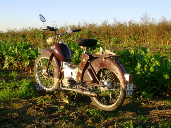 Angef�gtes Bild