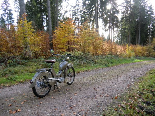 Angef�gtes Bild