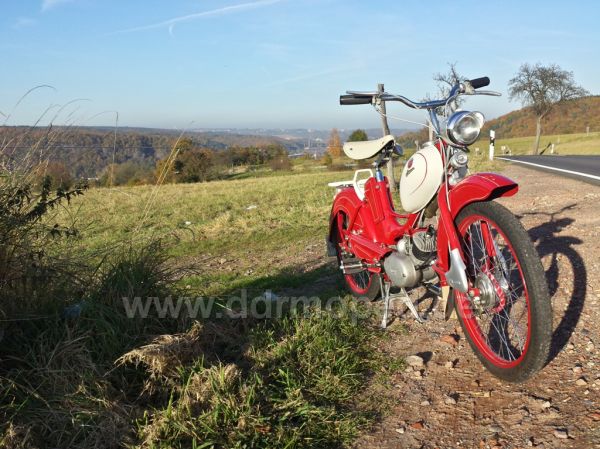 Angef�gtes Bild