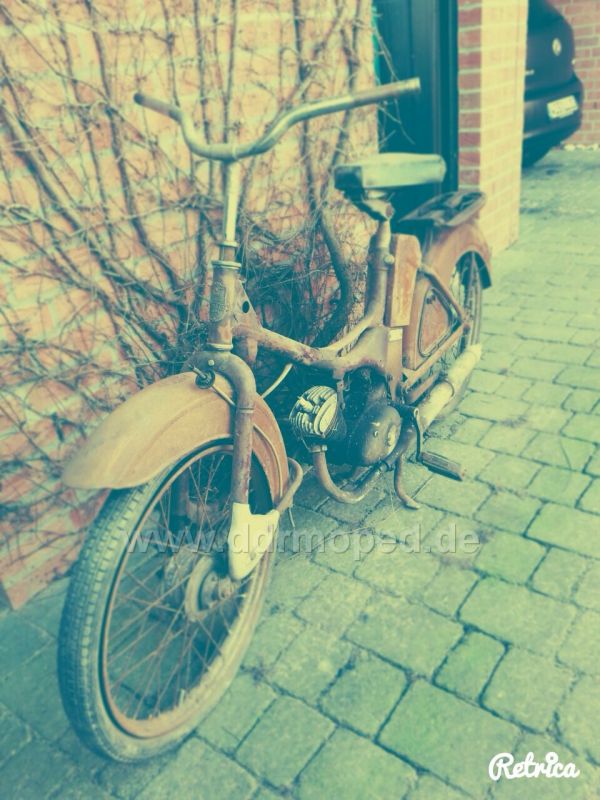 Angefgtes Bild