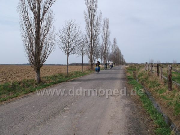 Angefgtes Bild
