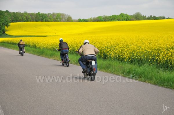 Angefgtes Bild