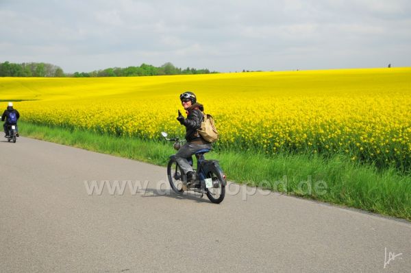 Angefgtes Bild