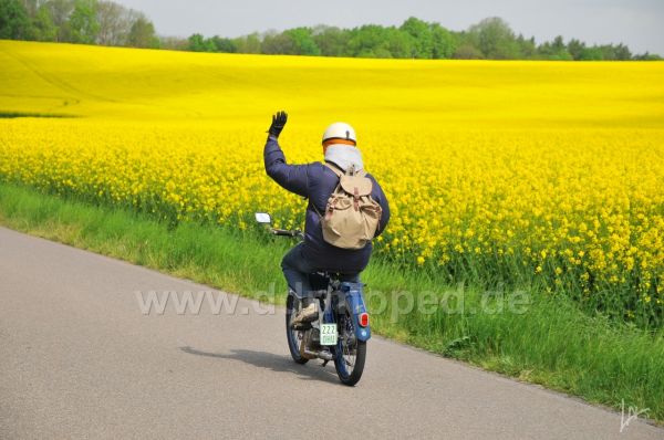 Angefgtes Bild
