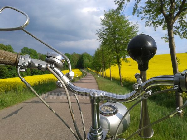 Angefgtes Bild