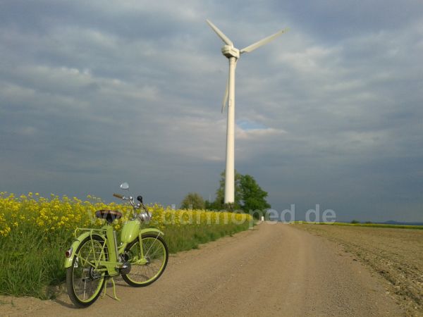 Angefgtes Bild