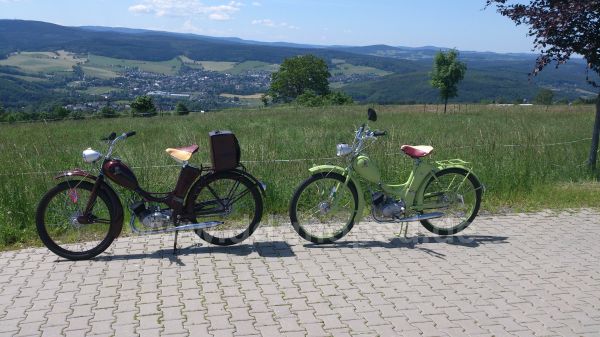 Angefgtes Bild