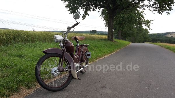 Angefgtes Bild