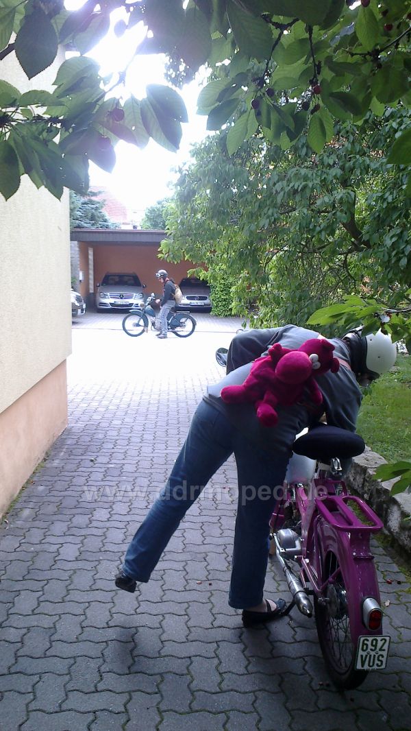 Angefügtes Bild