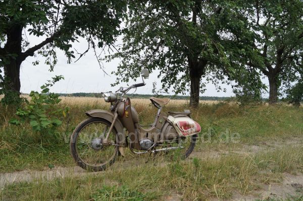 Angefgtes Bild
