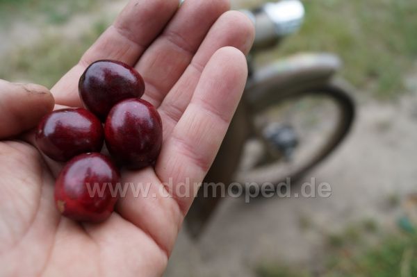 Angefgtes Bild