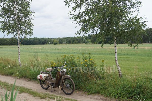 Angefgtes Bild
