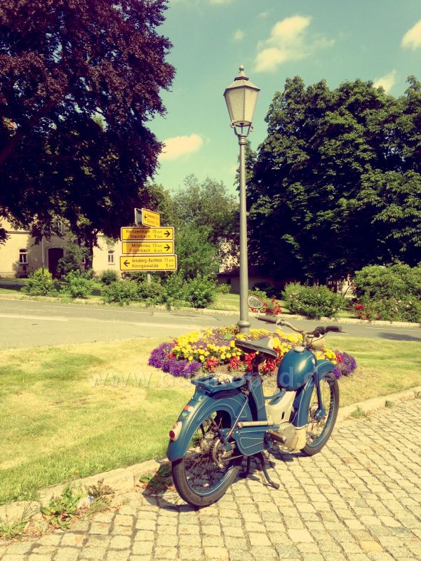 Angefgtes Bild