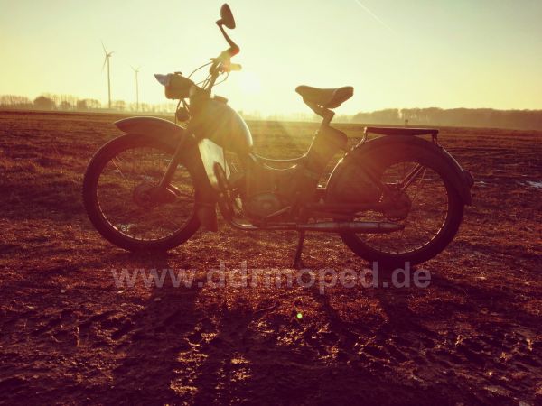 Angefgtes Bild
