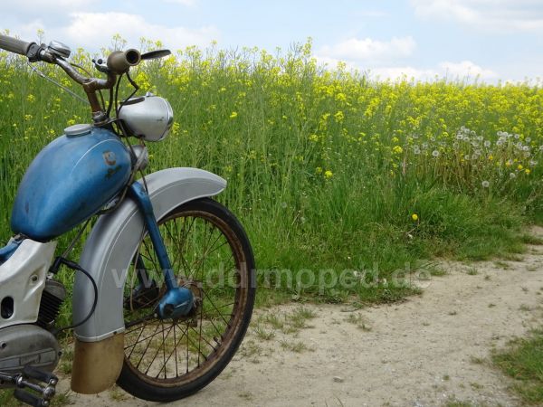 Angefgtes Bild