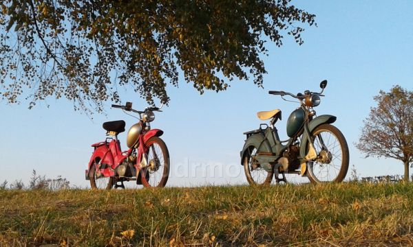 Angefügtes Bild
