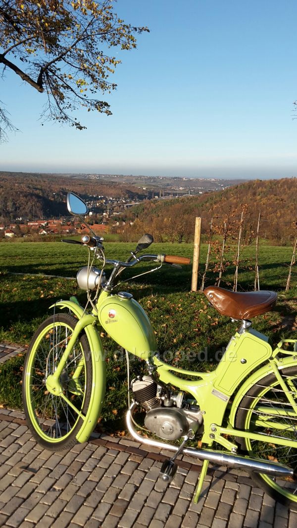 Angefgtes Bild