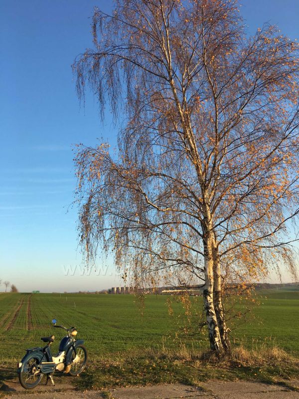 Angefgtes Bild