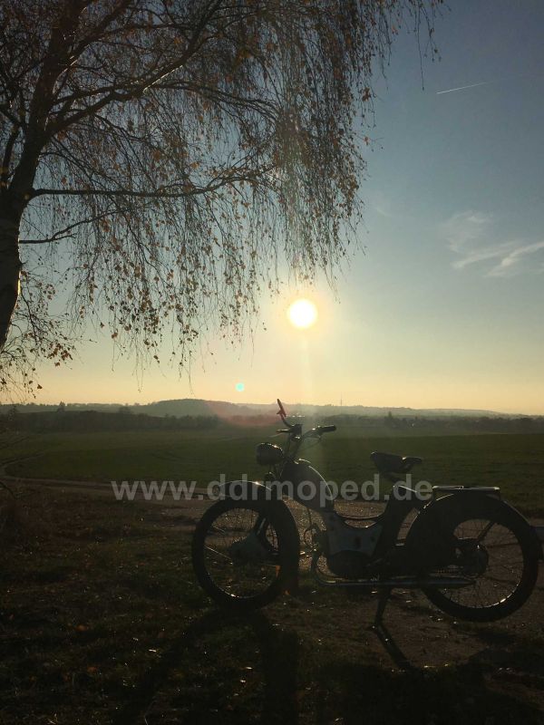 Angefgtes Bild