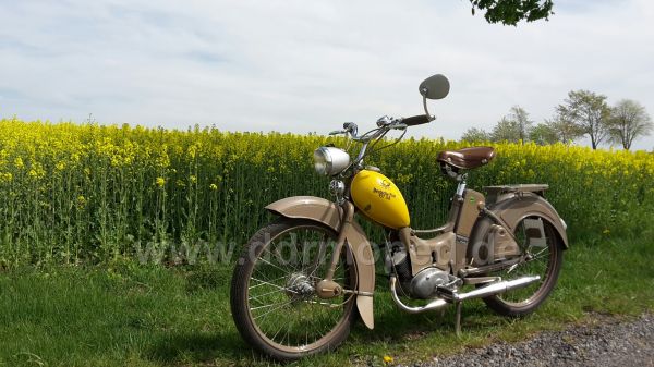 Angefgtes Bild