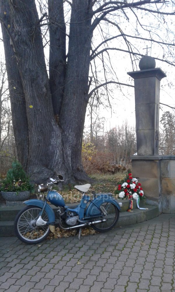 Angefgtes Bild