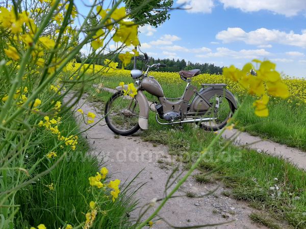 Angefgtes Bild