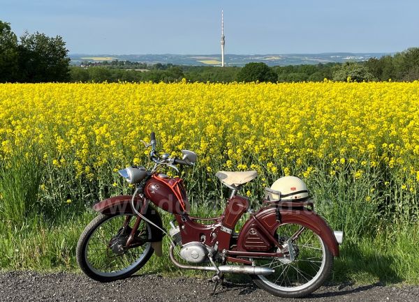 Angefügtes Bild