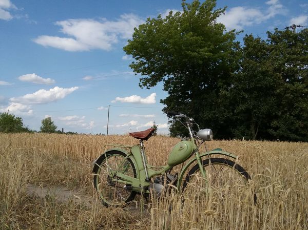 Angefgtes Bild