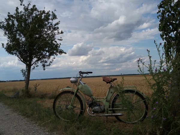 Angefgtes Bild